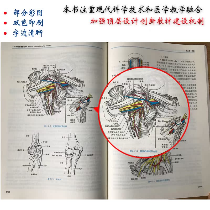 【包邮】人体断层影像解剖学第4版第四版王振宇本科医学影像专业教材