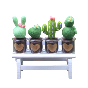 买二送一羊毛毡多肉植物