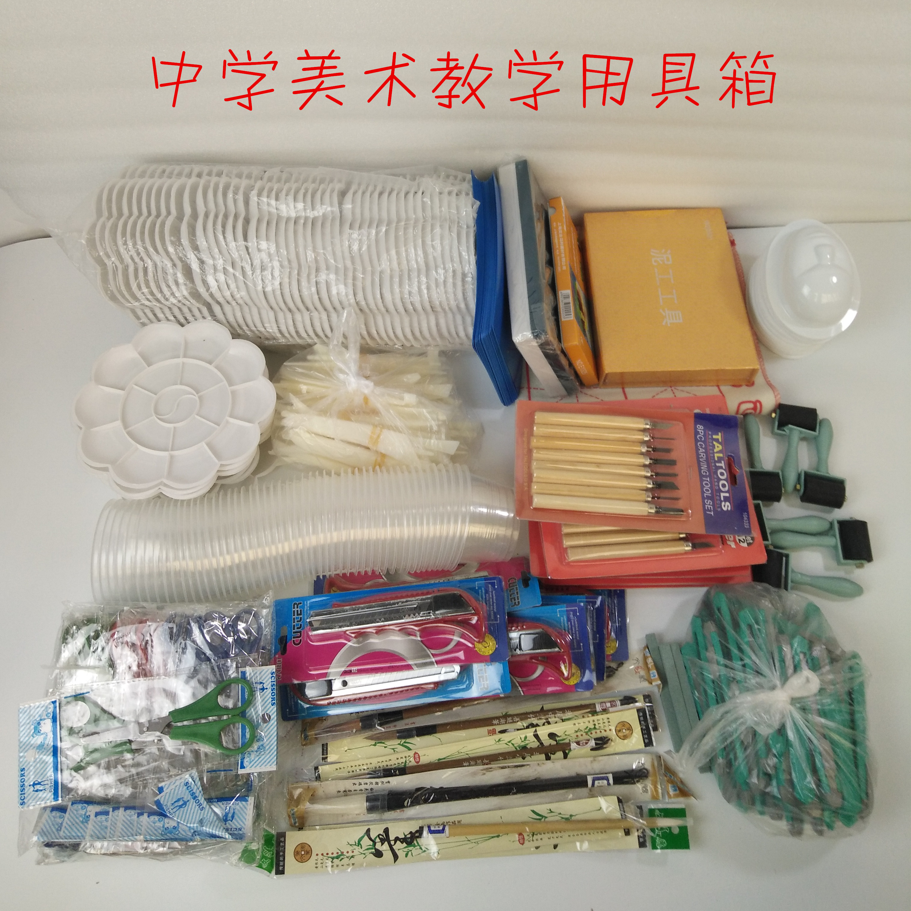 中学美术教学用具箱 18类435件教学仪器用品验收达标产品纸箱包装