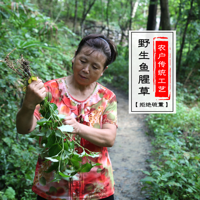 秦岭野生鱼腥草干叶 农家则折耳根新鲜晒干 清火清热茶250g包邮