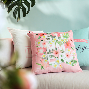 北极绒 天鹅绒抱枕