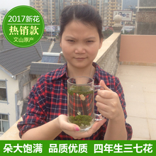 田七花 包邮 正宗天然四年新三七花茶500克正品 三七花云南文山特产