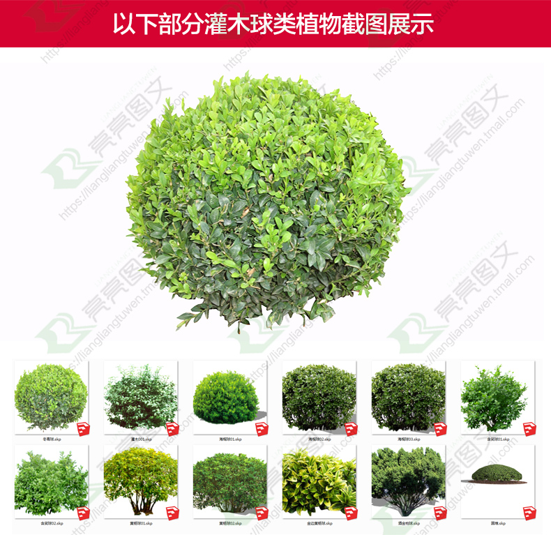 su草图大师模型园林景观植物花草树木乔木花卉灌木sketchup素材库