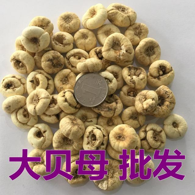 大川贝母 中药材野生川贝 川贝母 平贝母 尖贝 500g包邮 川贝母粉