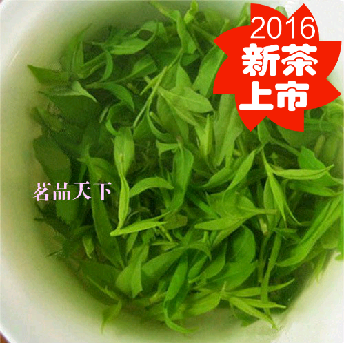 2016新茶 小叶苦丁茶 特级野生青山绿水茶250克 特价包邮 2件送杯