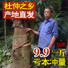 磨粉请留言 500g 包邮 略阳野生老杜仲皮厚皮可泡茶泡酒 秦岭杜仲