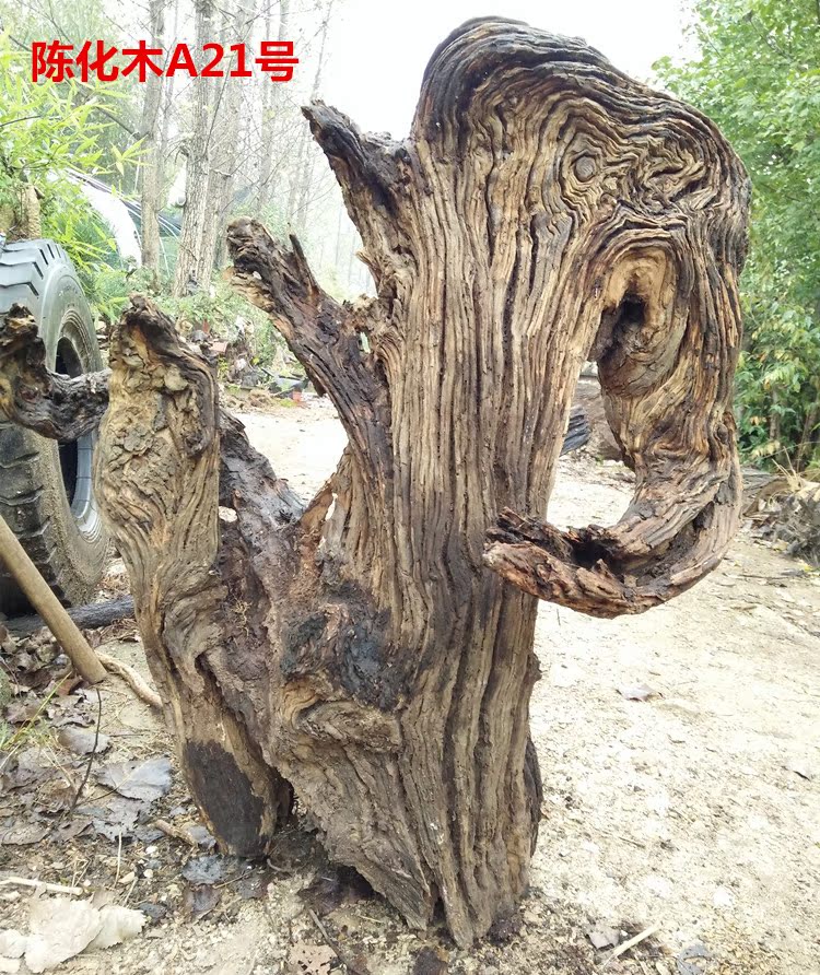 原生态摆件自然成型陈化瘤花疙瘩崖柏树根纯天然根艺根雕鱼缸造景