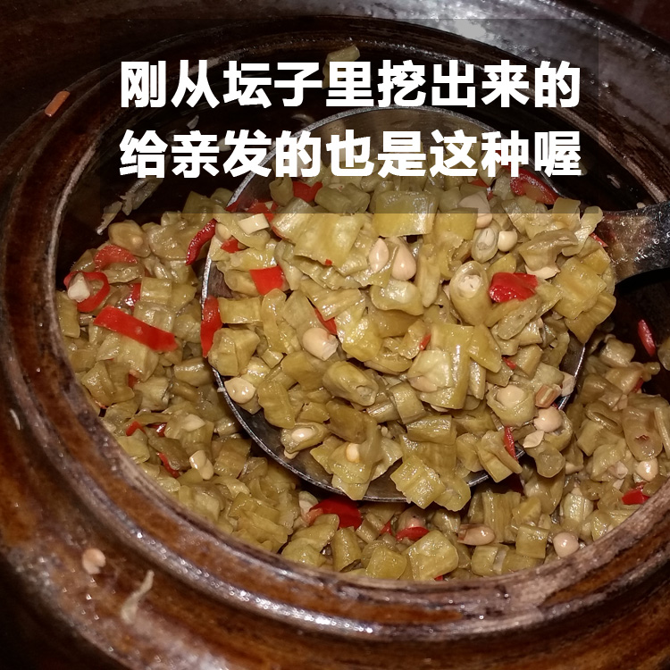 湖南张家界特产坛子酸豆角 下饭菜酸豇豆 坛子菜 酸豆角