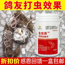 全虫清 信鸽药有效杀灭蛔虫绦虫节虫及其虫卵等鸽病 搏冠鸽子药