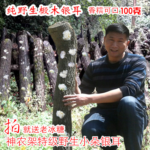 神农架深山正宗野生椴木银耳糯耳白木耳丑耳特级无硫雪耳干货100g
