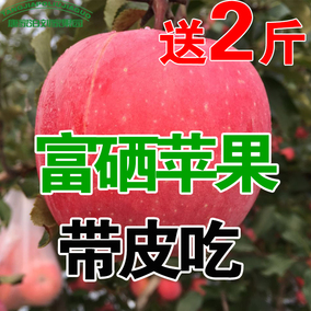 山东烟台富硒苹果烟台栖霞红富士水果新鲜 冰糖心胜陕西包邮8斤
