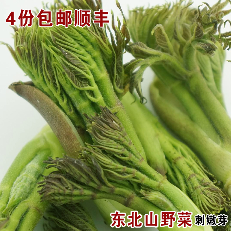 速冻东北山野菜纯野生新鲜山菜黄瓜香 广东菜 蕨新鲜山野菜500g