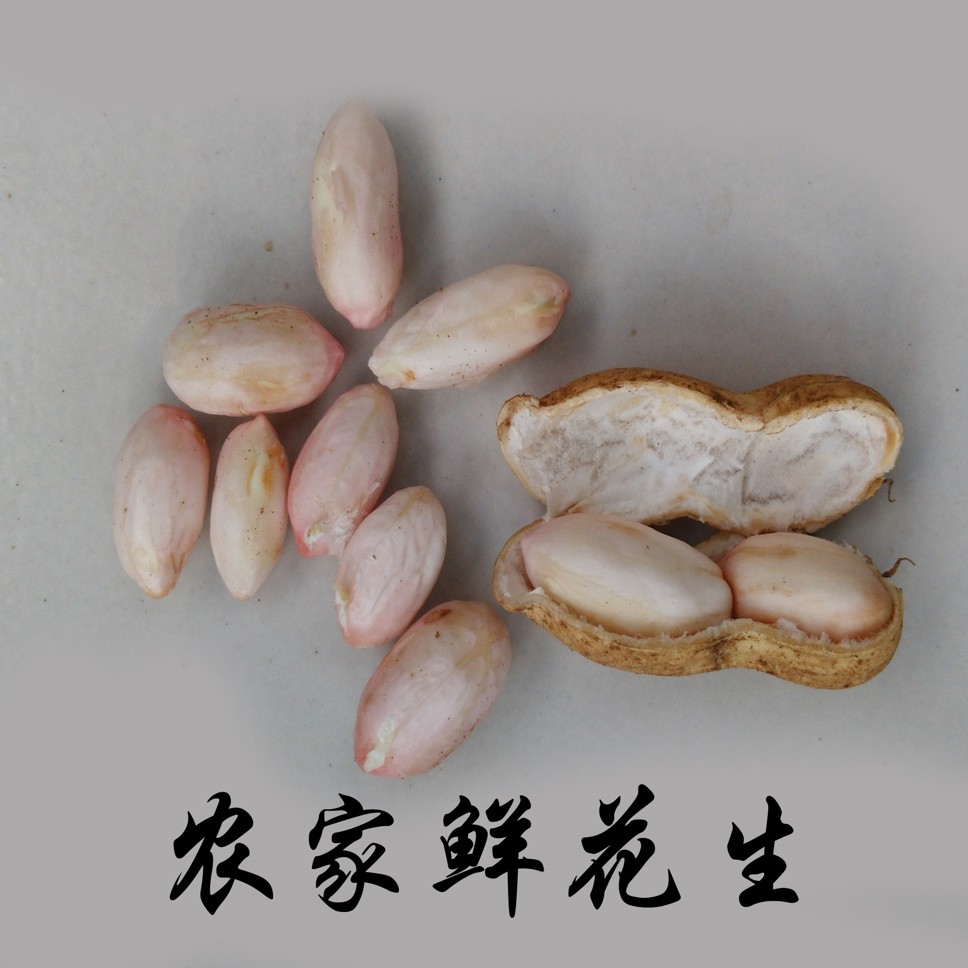 新鲜花生 5斤 农家自种非转基因绿色有机蔬菜现挖现卖