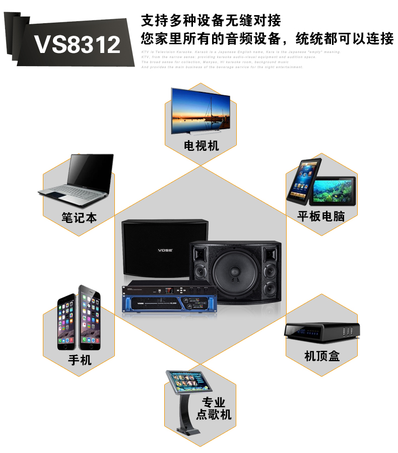 威仕vose vs-8312 家庭卡拉ok音箱功放ktv音响套装12