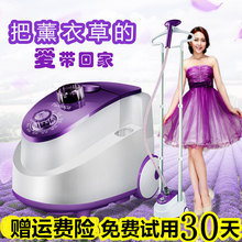 蒸气电熨斗 正品 包邮 家用挂式熨烫机烫衣服 双杠蒸汽挂烫机