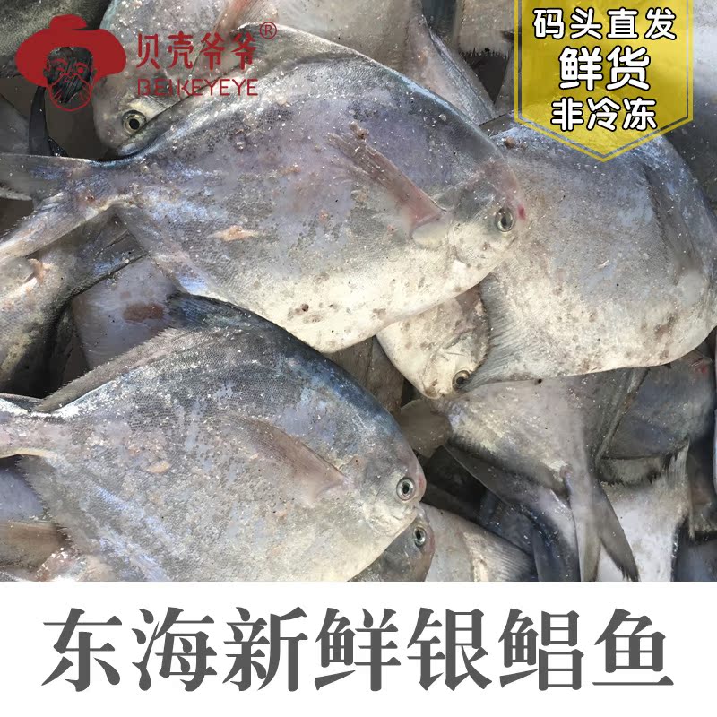 正品[野4060 旺旺在线]yy4060在线网站评测 鱼