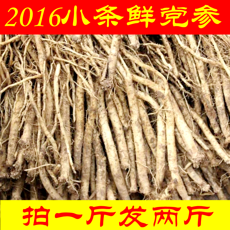 2016新挖经济型 特价小党参 甘肃定西原产地 农家自产 可打粉