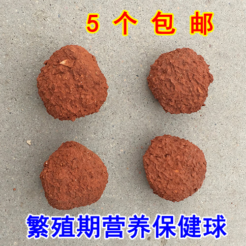 虎皮牡丹玄风鹦鹉 保健球保健砂 补钙助消化补充微量元素5个包邮
