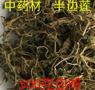 中药材批发野生半边莲 半边连 半边花 无硫熏 中草药500克包邮
