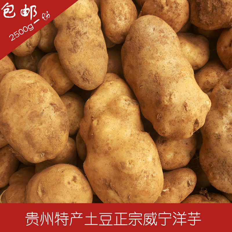 正品[土豆网 韩剧 黄手帕]土豆网黄手帕评测 韩