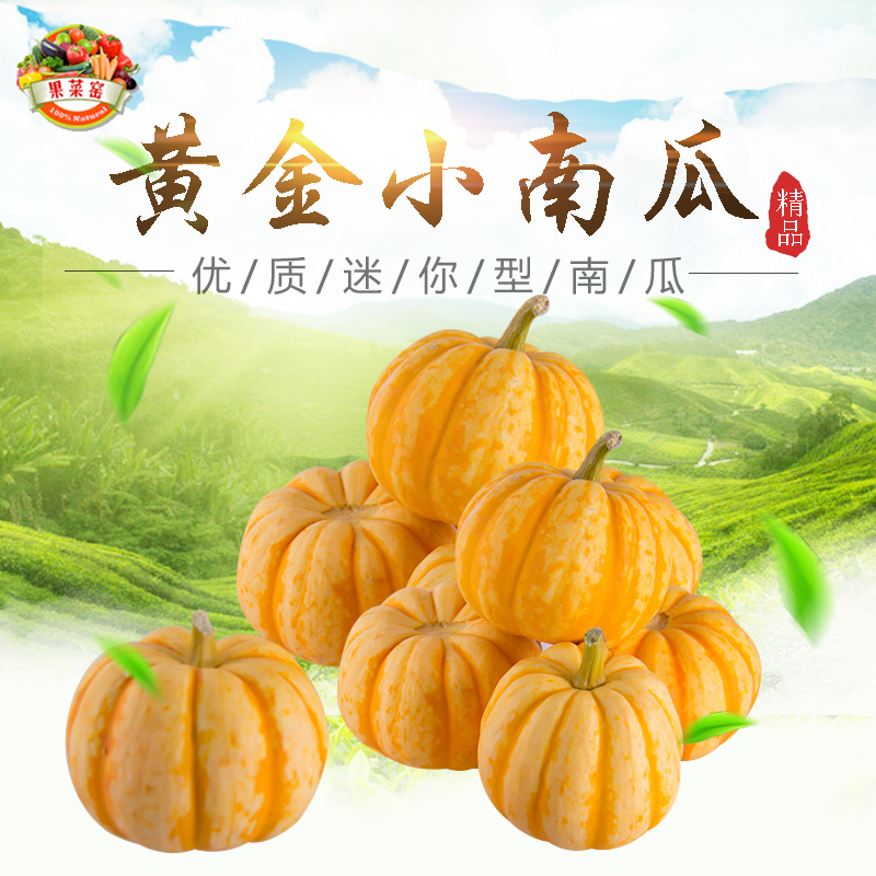 新鲜蔬菜 宝宝辅食 新西兰有机迷你金丝板栗黄