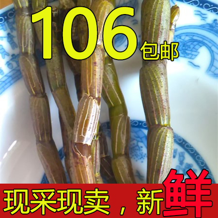 霍山铁皮石斛鲜条三年有机石斛新鲜500g仿野生石斛枫斗滋补仙草