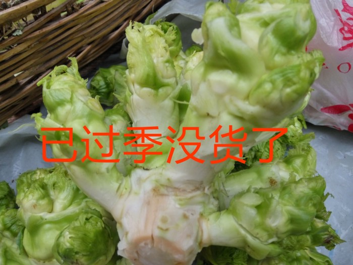 新鲜儿菜娃娃菜农家自种抱子芥菜泡菜自种南充菜本土鲜蔬菜2斤装