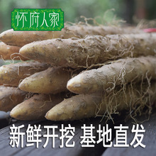 怀府人家正宗新鲜温县农家铁棍怀山药5斤河南特产焦作铁杆淮山约