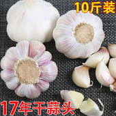 包邮 干蒜大蒜蒜鲜蒜现挖紫皮干大蒜头 山东10斤干大蒜新鲜蒜头低价