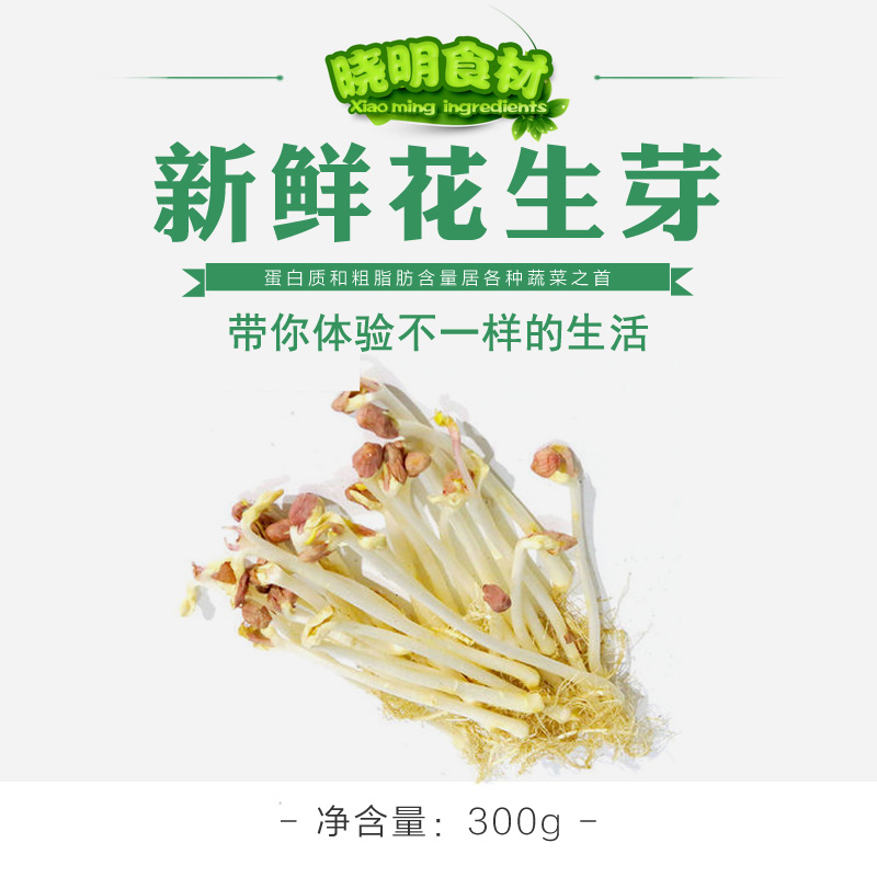 野菜新鲜蔬菜 花生芽 无土栽培 天然嫩芽新鲜绿色蔬菜