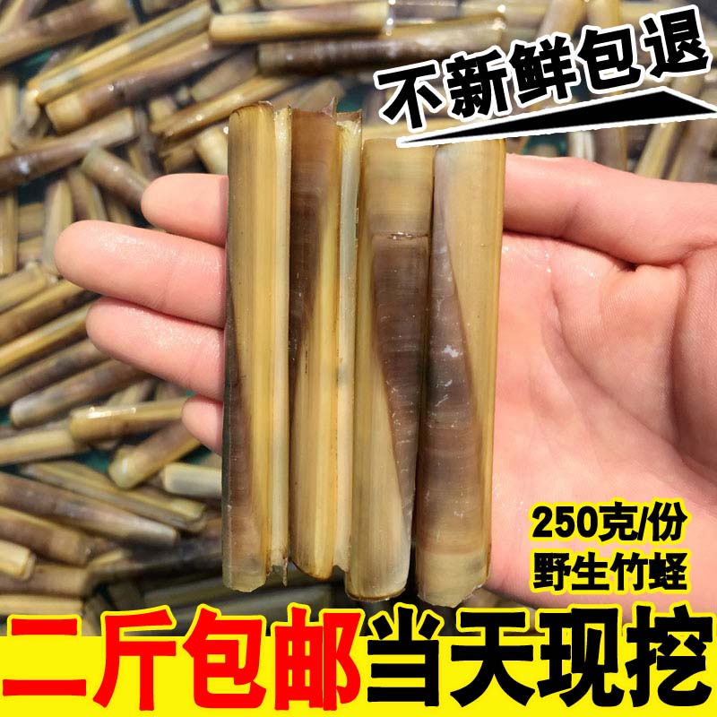 查看淘宝海鲜贝类鲜活竹节蛏新鲜竹蛏手指蛏竹蛏王大蛏子野生水产二斤