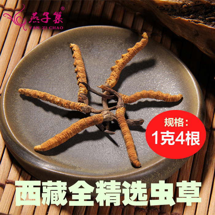 冬虫夏草正品 断虫草礼盒包装野生新鲜玉树西藏那曲滋补足干 包邮