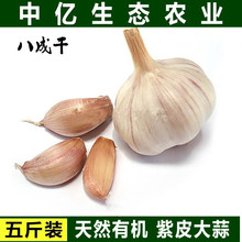 干蒜 干蒜5斤 紫皮干大蒜头 包邮 2017新蒜山东新鲜大蒜头低价