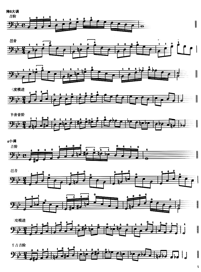 正版 低音提琴音阶与琶音 唐毅民 罗兵 编 畅销书籍 音乐教材 上海