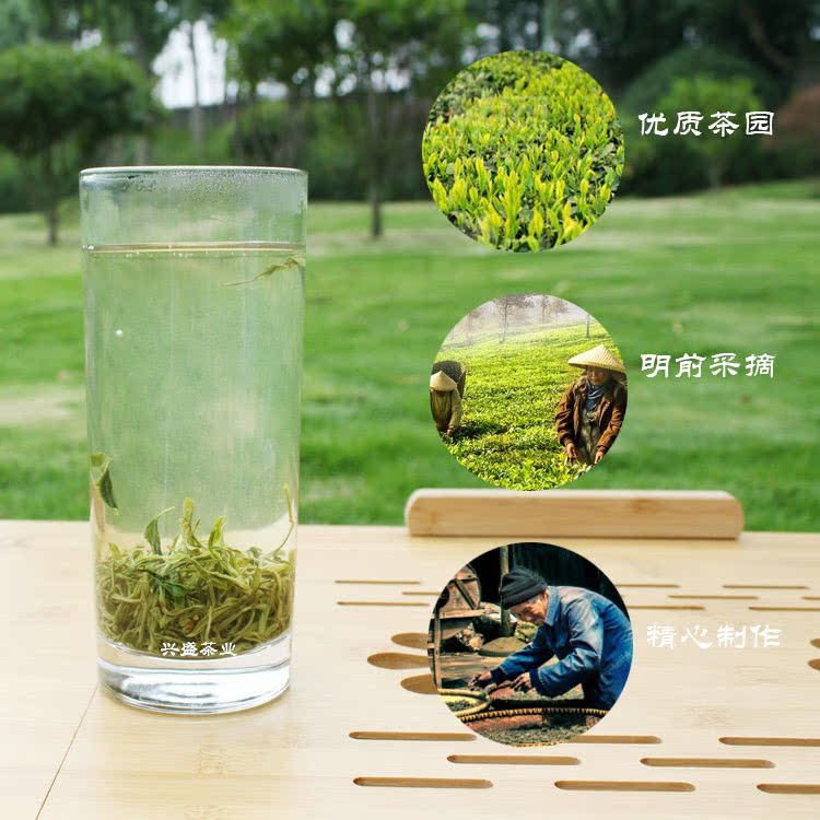 紫阳富硒茶 高级绿茶 2016新茶 罐装茶叶毛尖绿茶 耐泡雨前茶100g