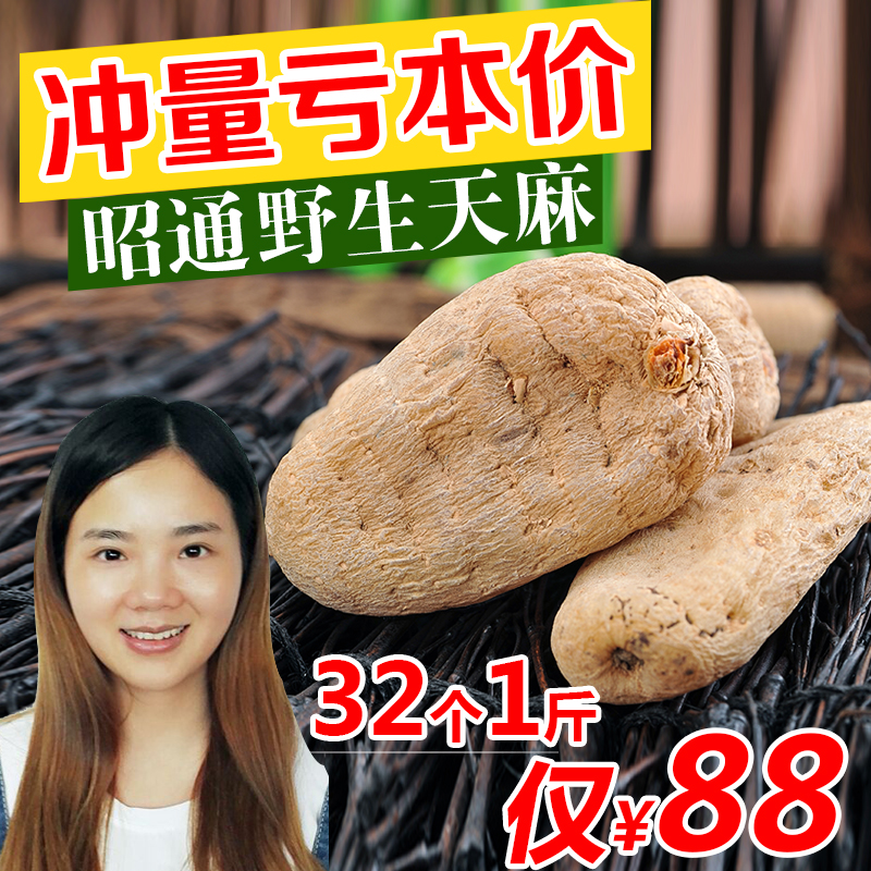 云南昭通小草坝天麻  深山无硫野生天麻500g  特级纯天然昭通天麻