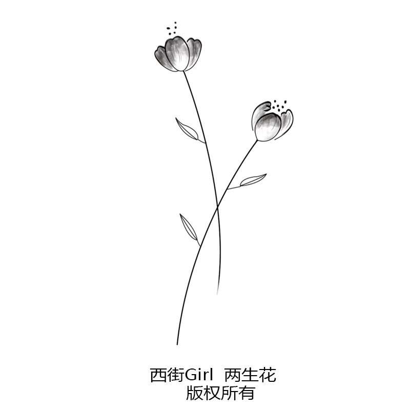 西街gril 韩系小清新 水墨兰花持久纹身贴手臂 艺术照