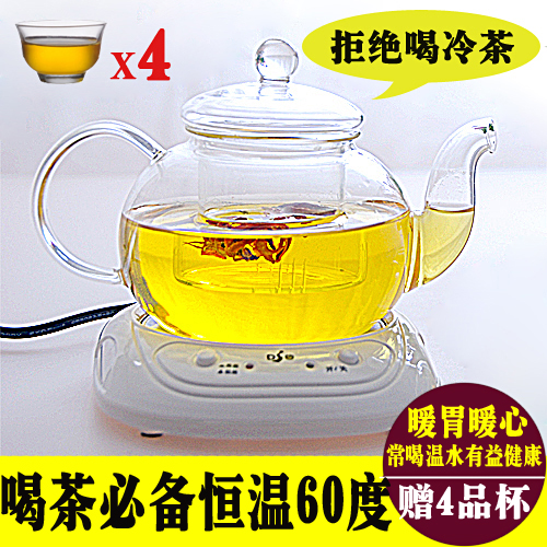保温耐热玻璃花茶具套装茶壶配电加热恒温宝过滤泡茶壶红茶壶包邮
