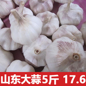 包邮 5斤新鲜干蒜头蒜种子特产农家种植 山东金乡大蒜头干蒜头低价