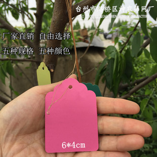 100张热卖种子标签pvc防水标签园艺植物标签育苗标签吊牌(带绳)