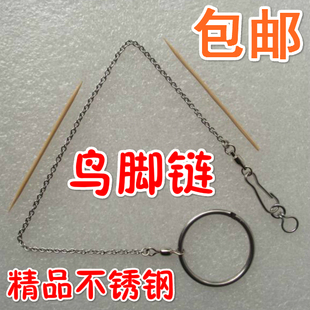 精品不锈钢鸟脚链/鸟脚环/乌鸦/伯劳/蜡嘴/八哥/鹩哥/松鸦/喜鹊等
