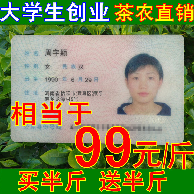 绿茶2016年新茶信阳毛尖雨前一级茶叶250克自产自销散装手工包邮