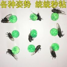 包邮 抓粘知了球知了胶杆竿捕捉蝉粘手球儿童玩具