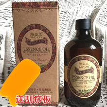送刮痧板 500ML 雅姿兰 包邮 极塑贝纤消脂塑身美体按摩精油 正品