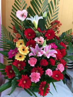 正品[邹城二手家具]邹城二手家具市场评测 邹城