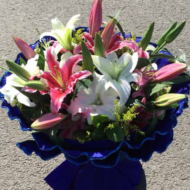 北京同城鲜花速递 白百合花束 送长辈送老师父母生日祝福探望病人