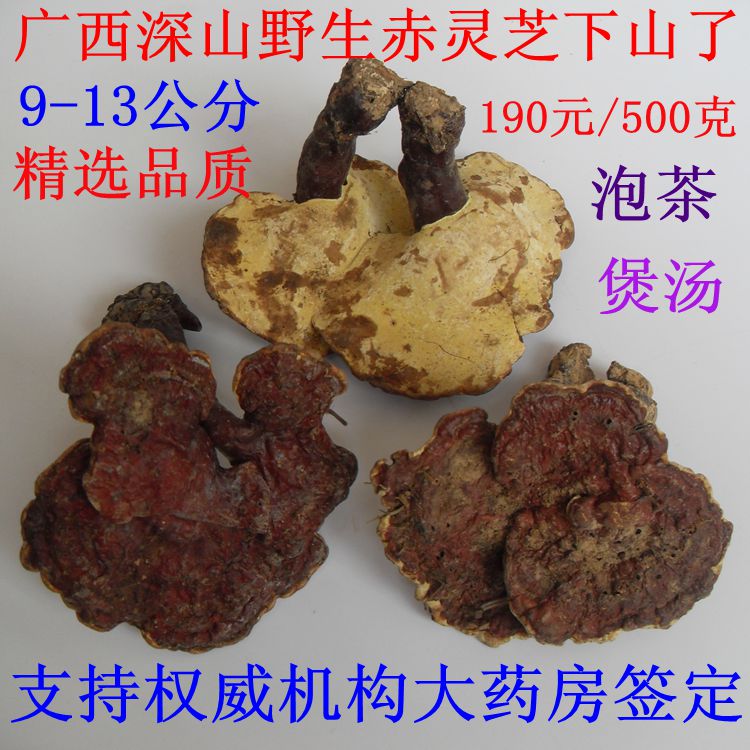 16年广西深山野生赤灵芝赤芝红芝灵芝片传统滋补泡茶煲汤190元/斤