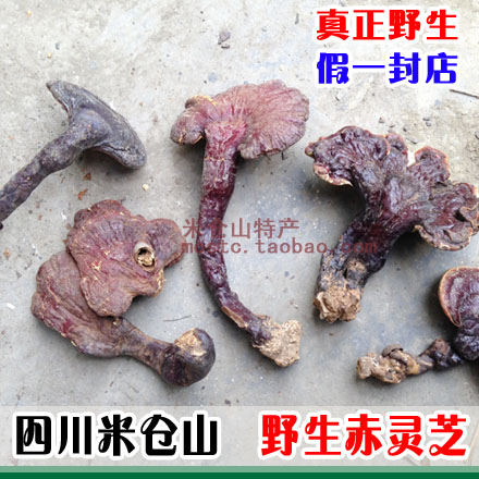 四川米仓山散装灵芝野生灵芝林芝整枝赤灵芝100克非西藏灵芝红紫