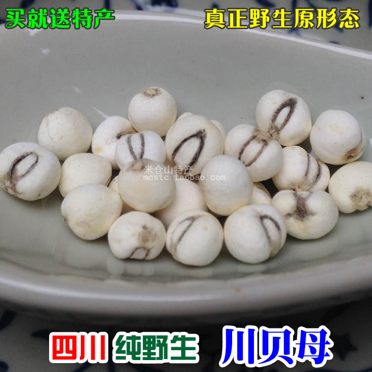 正品野生珍珠贝母川贝特级野生川贝松贝中药材川贝母可磨粉50克