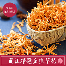 250g 煲汤营养好 虫草蛹虫草孢子头干货 丽江特级精选金虫草花